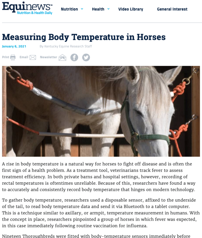 Measuring Body Temperature in Horses - VetTrue by Epona Biotec